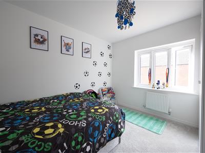 Picture 25